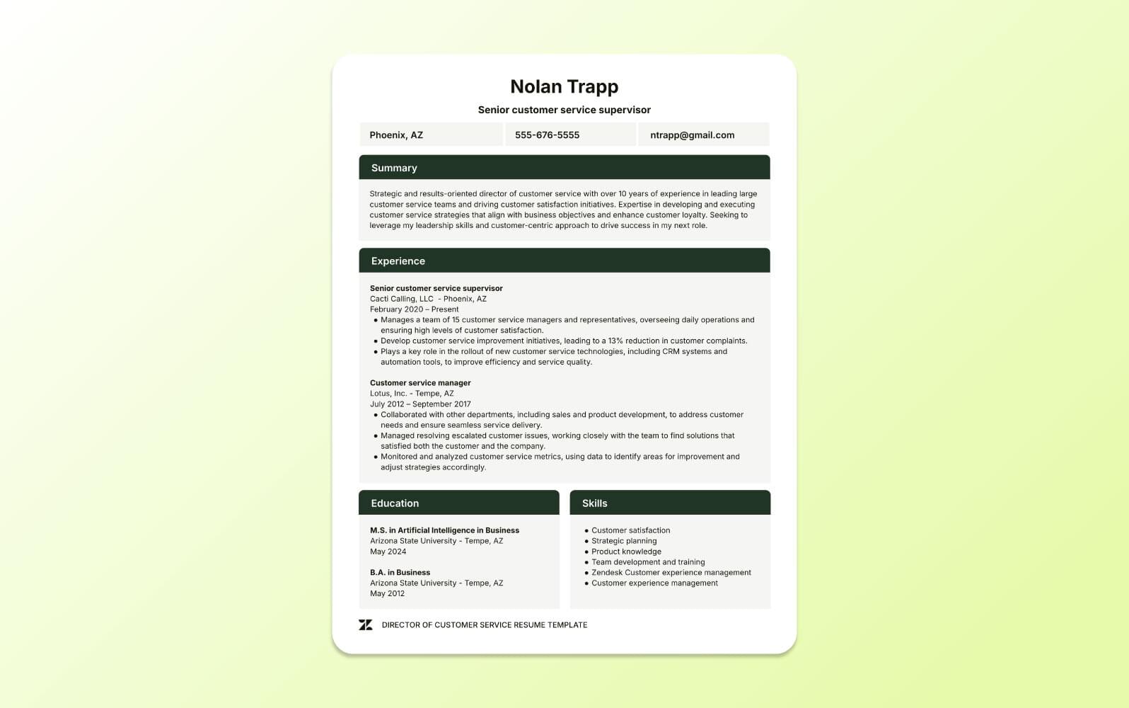 A screenshot of a director of customer service resume showcasing strategic leadership, business impact, and executive-level experience.