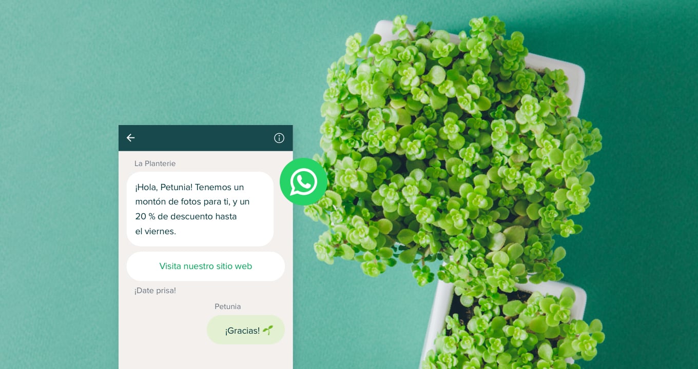 difference between WhatsApp and WhatsApp Business