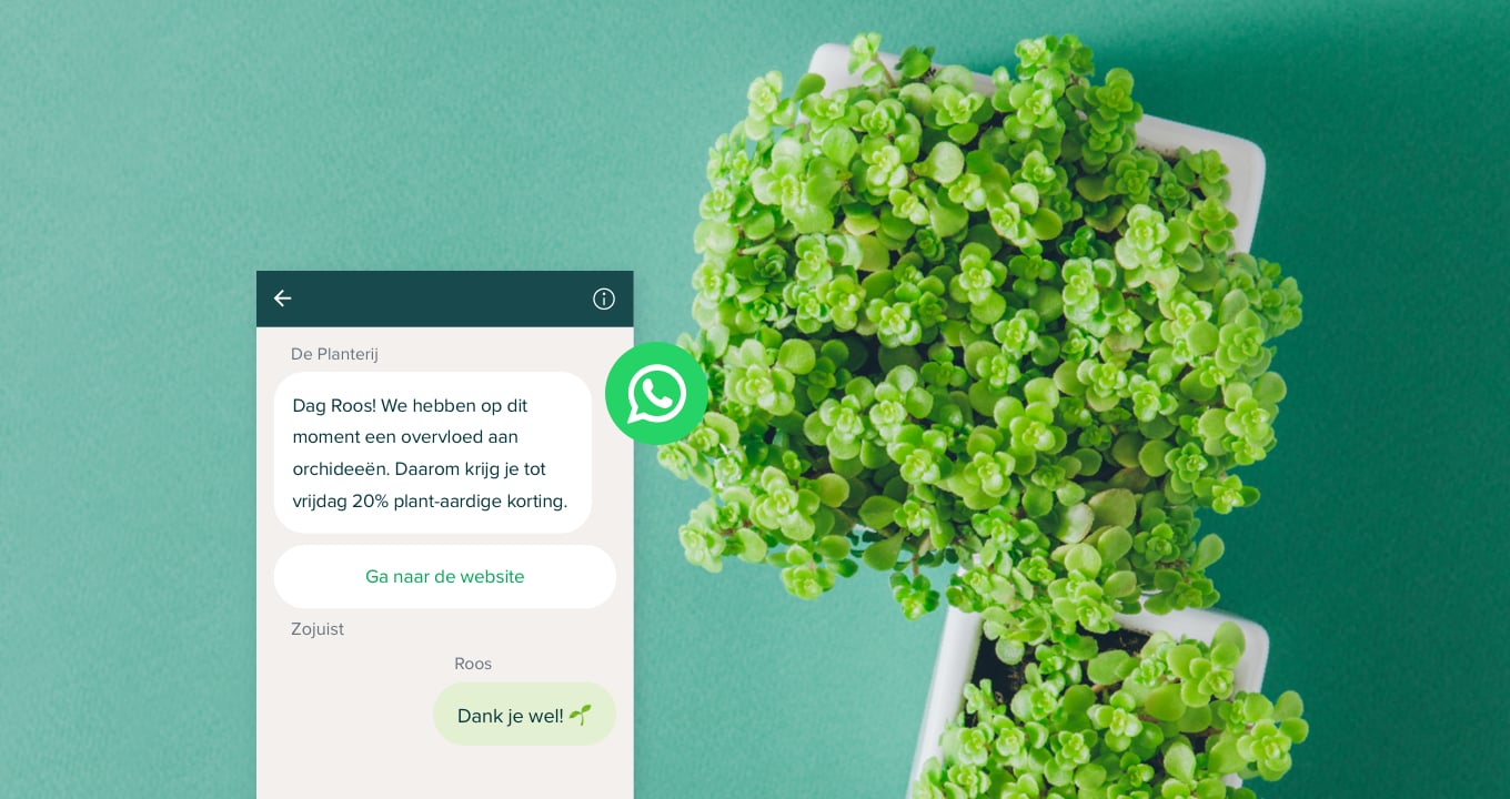 difference between WhatsApp and WhatsApp Business