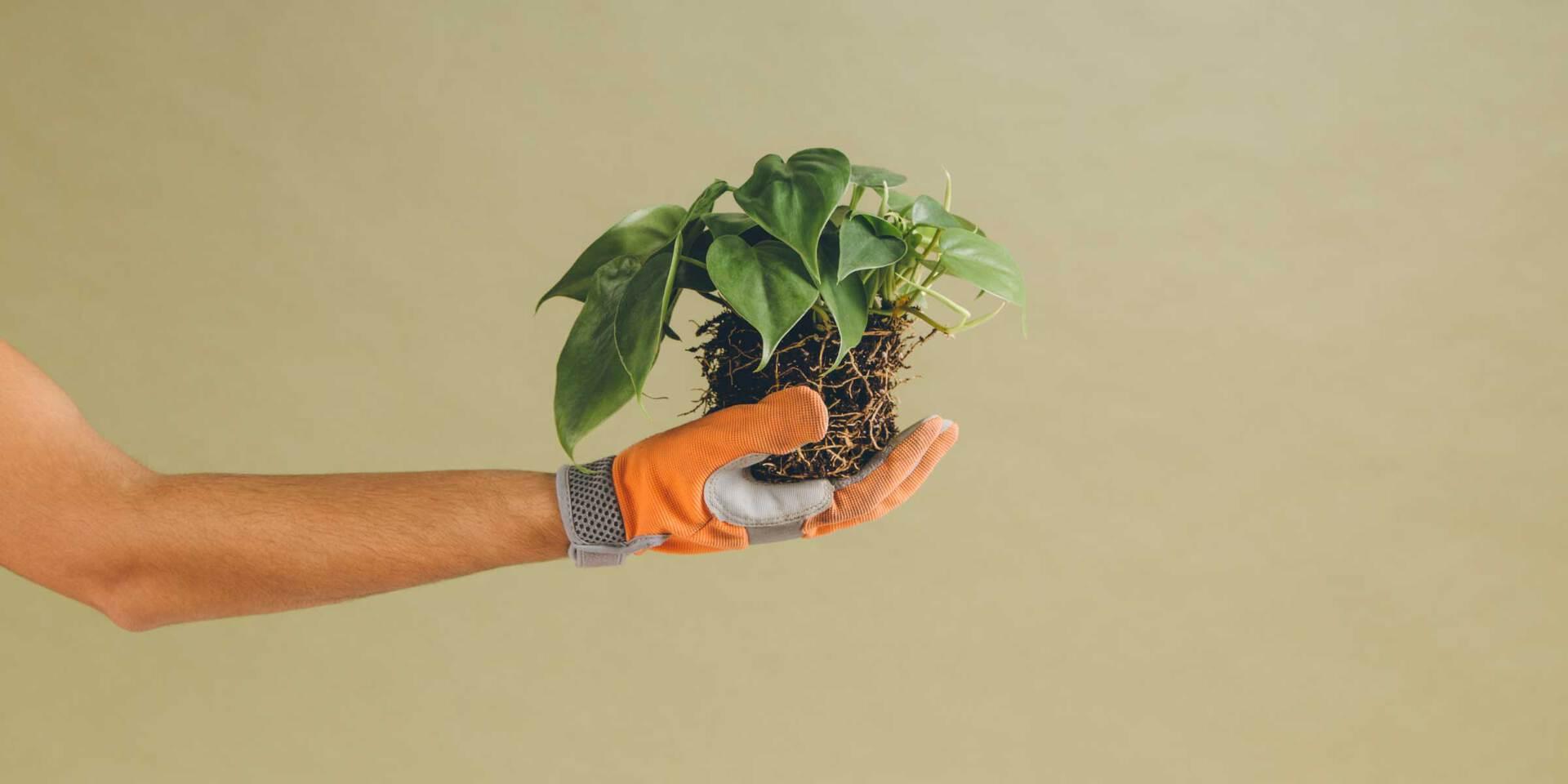 Implantação de melhorias no atendimento ao cliente