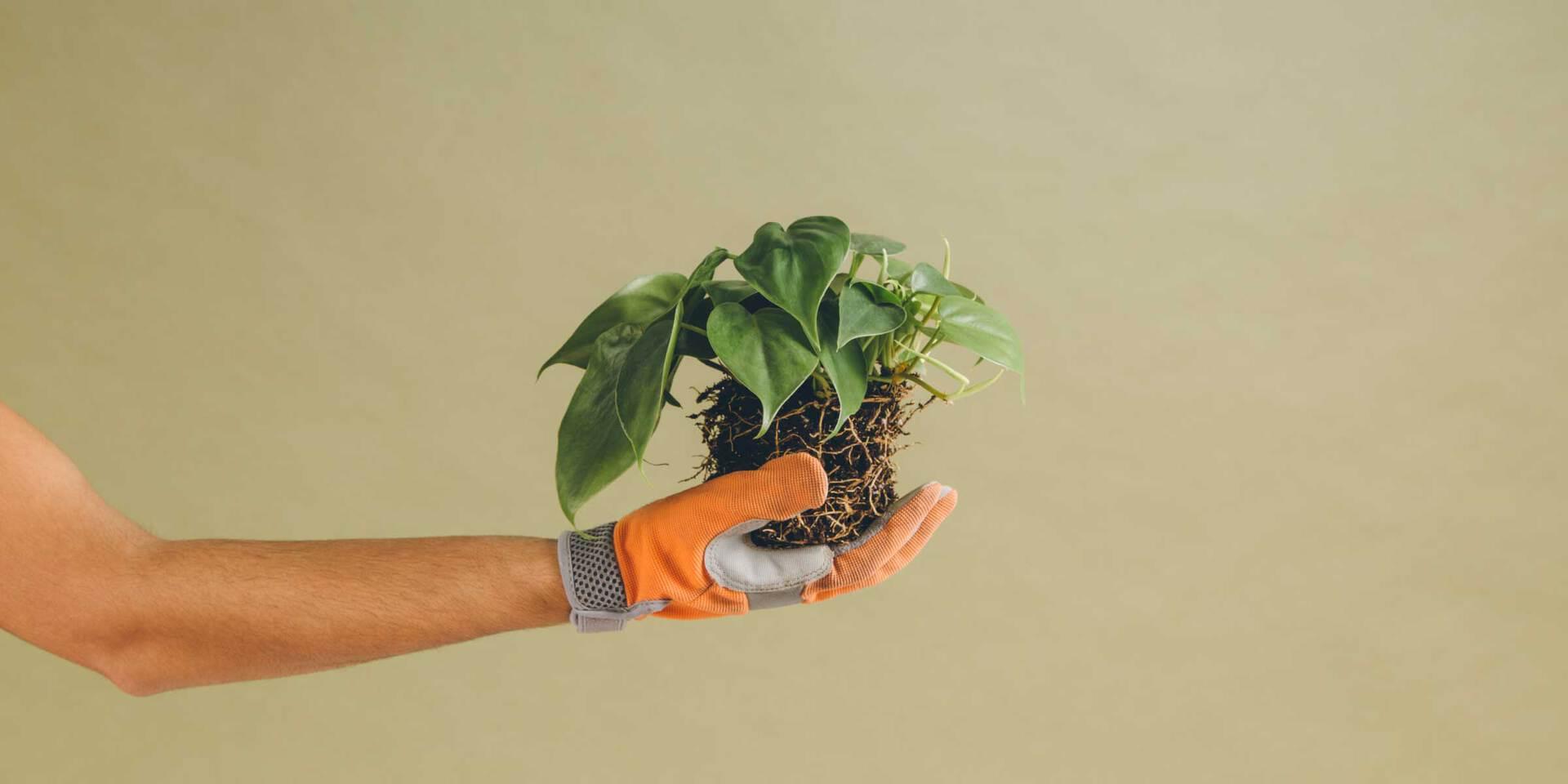 O que é growth hacking