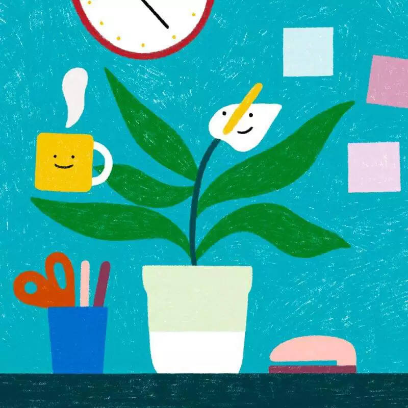 Los cuatro principios clave para desarrollar la experiencia del empleado