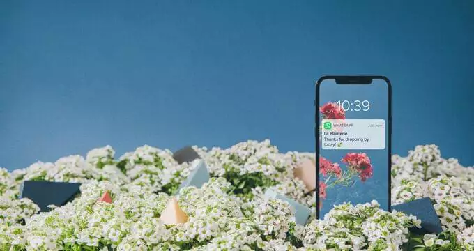 Kundenservice verbessern: Wie Unternehmen WhatsApp und Co. erfolgreich für den Kundenservice nutzen