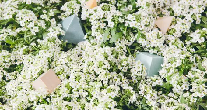 How to use data to make your customer relationship management more effective 