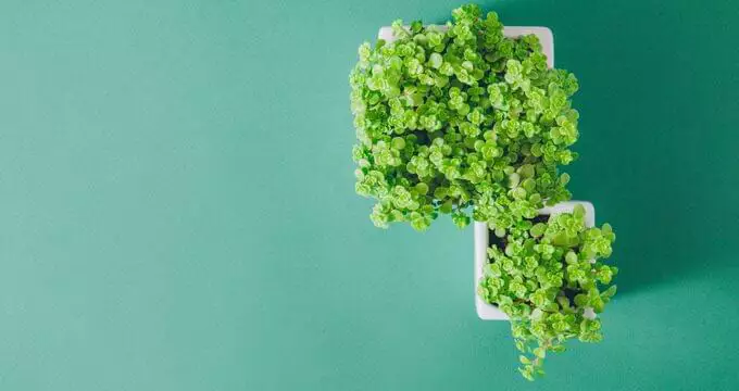 Wissensmanagement-Software für skalierbaren Self-Service