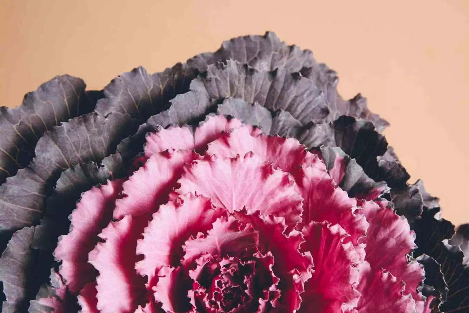 Vergeet je pitch: 9 salesvragen om de deal te sluiten