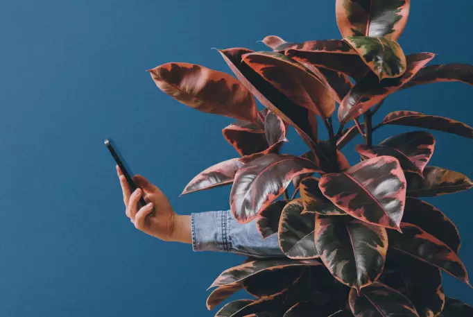 Self-Service-Tools: Voraussetzung für guten Customer Service