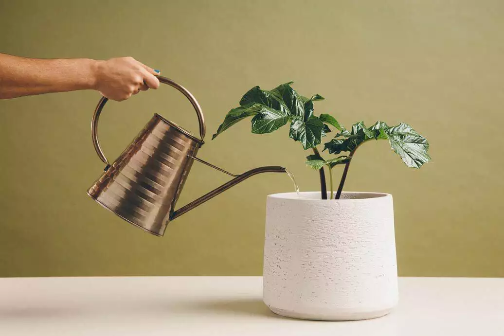 Supporting your customers starts with supporting your agents