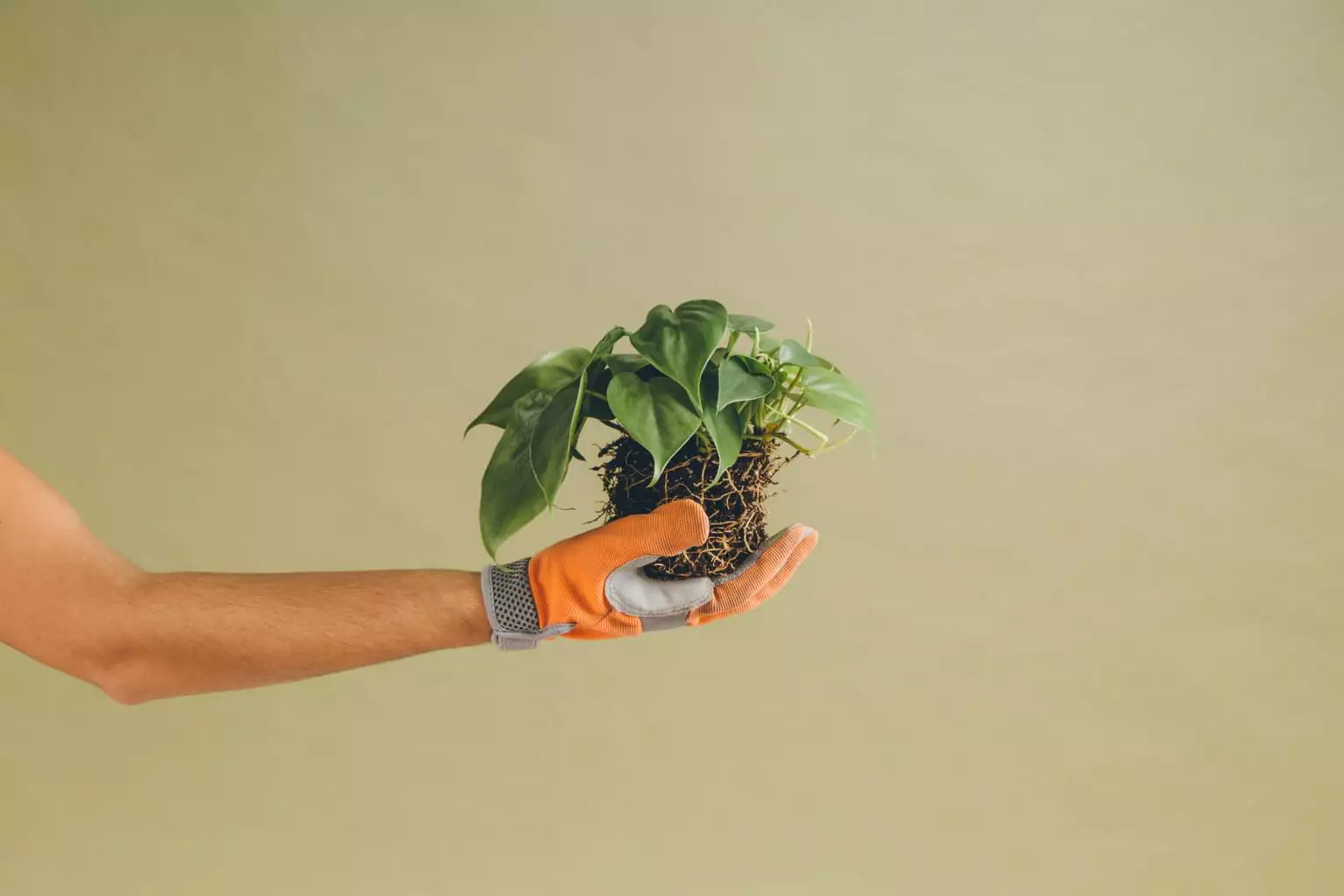 Help Center: Essenziell für exzellenten Customer Service