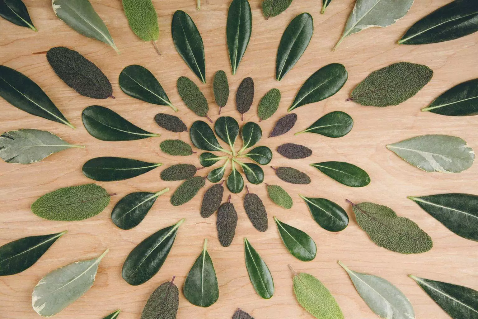 Warum P&C-Versicherungsunternehmen jetzt in den Kundenservice für Schadensfälle investieren müssen