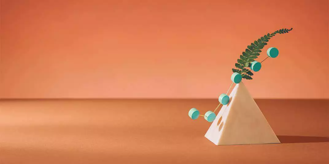 Modèle de CV pour le Téléconseiller: 15 exemples