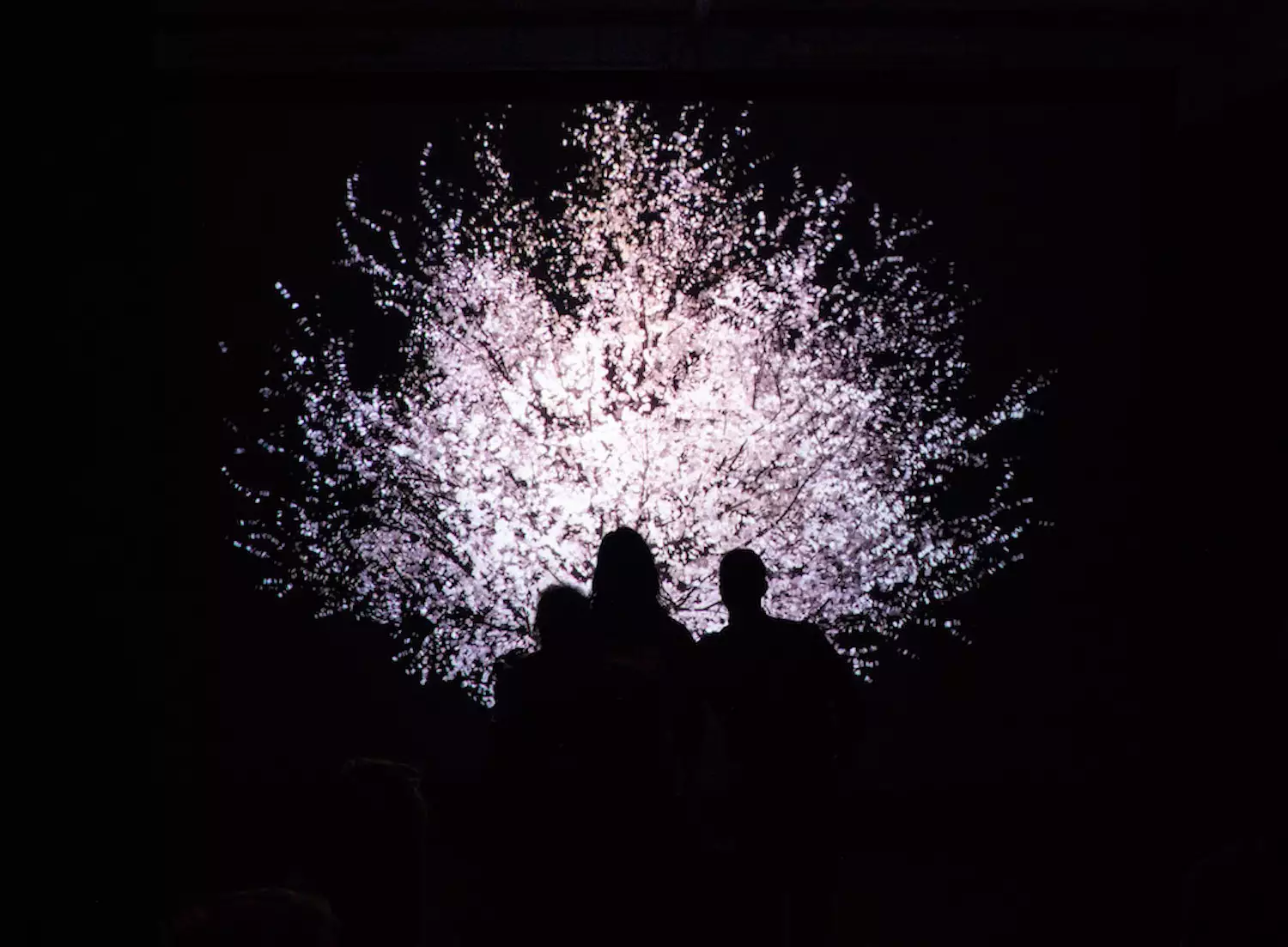 As technology advances, we question what it means to be human