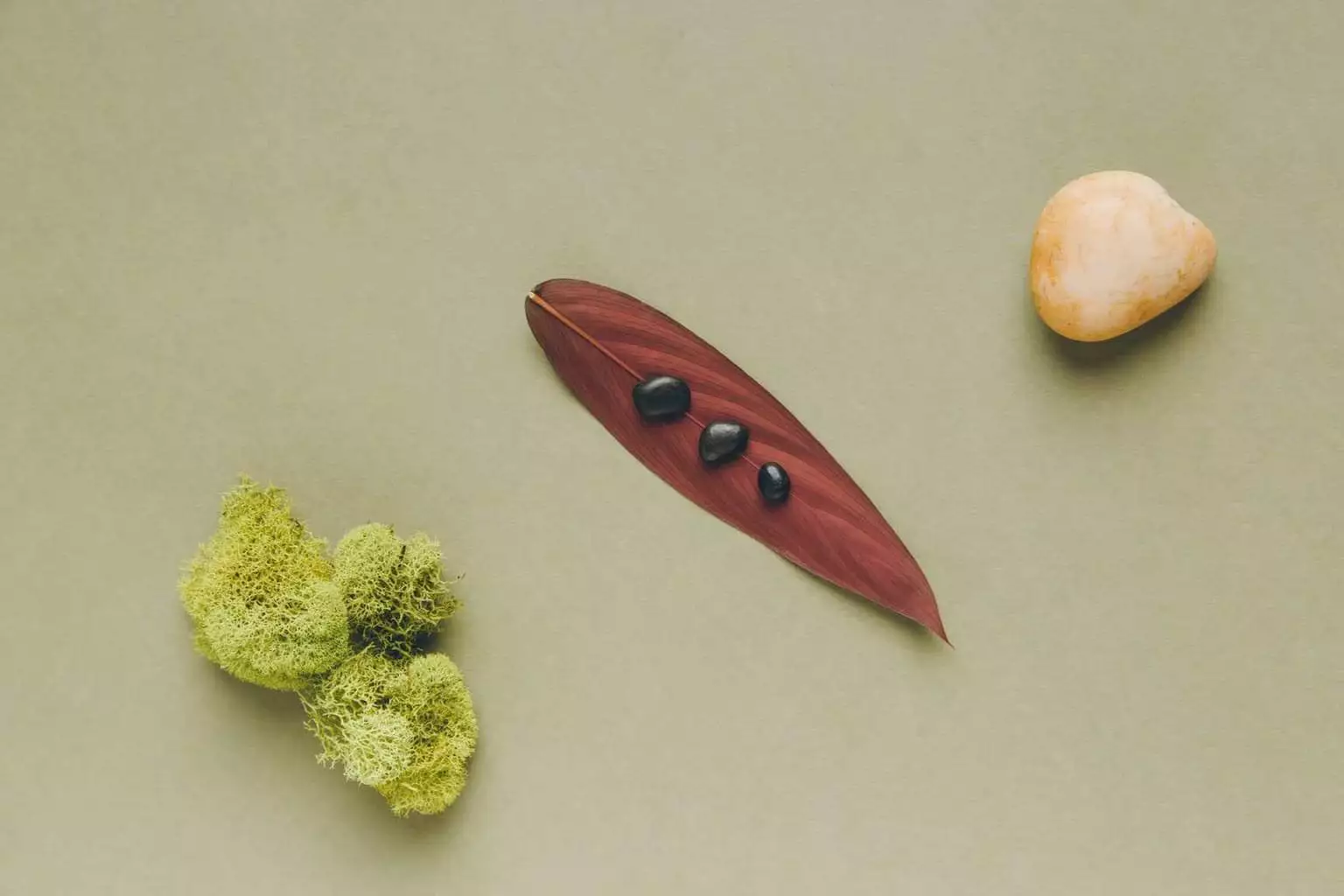 Cartera de clientes: qué es y cómo manejarla con éxito