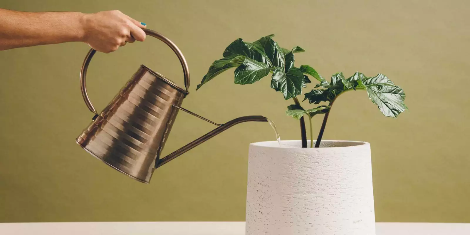 Ciclo de vida del cliente: ¿qué es? Gestiona en 5 etapas