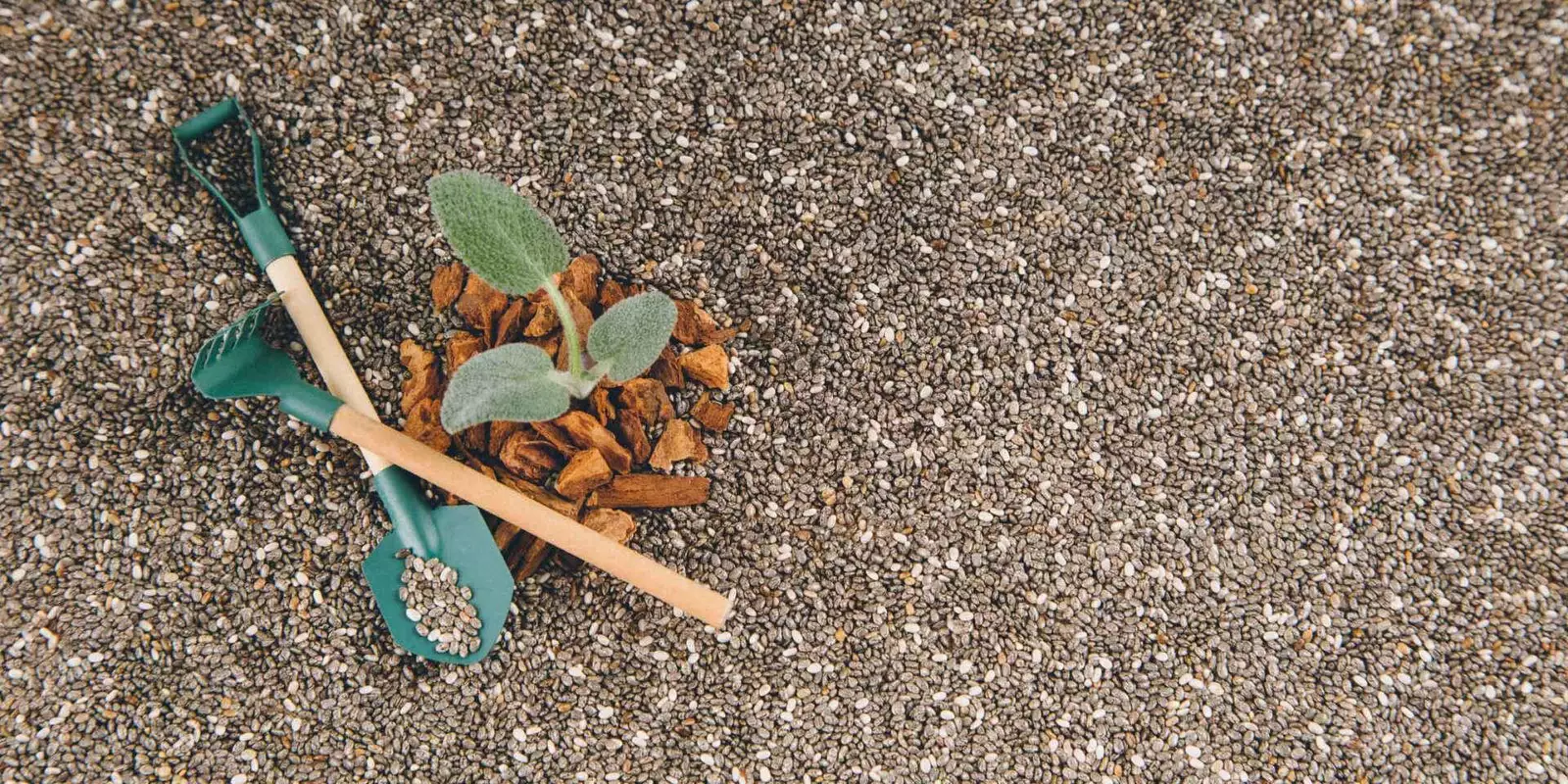 Cliente impulsivo: 7 consejos para tratarlo y 6 características