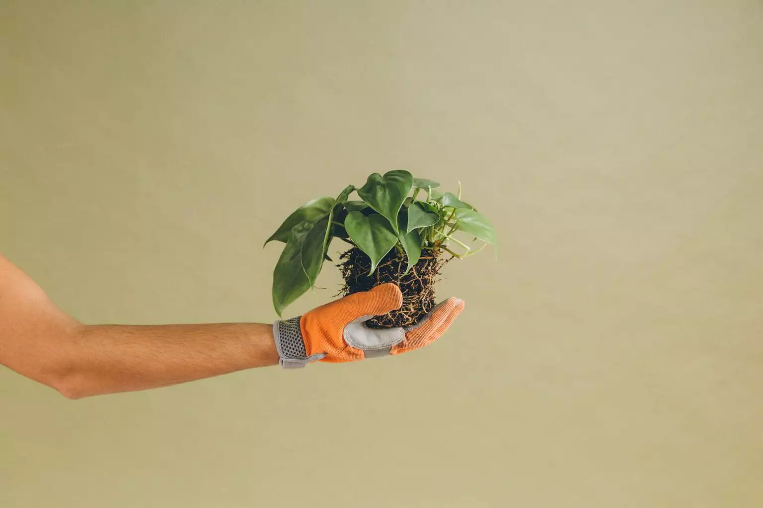 Como encantar um cliente: 7 dicas valiosas para a empresa