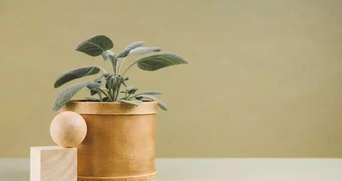 Die Customer Experience aus der Perspektive des CIO