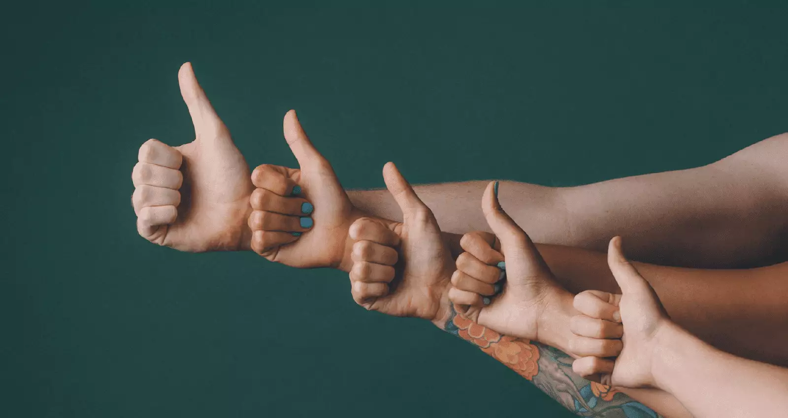 16 programas de fidelización de clientes de 2024 + cómo funcionan