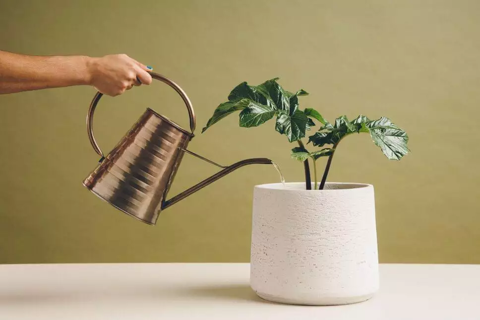 So gelingt die digitale Transformation