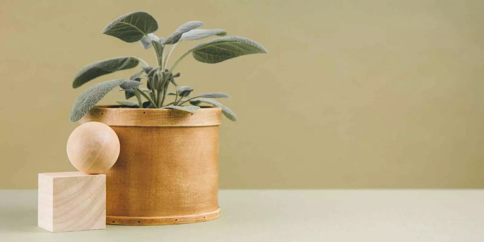 Paso a paso para implementar una estrategia donde el cliente es primero