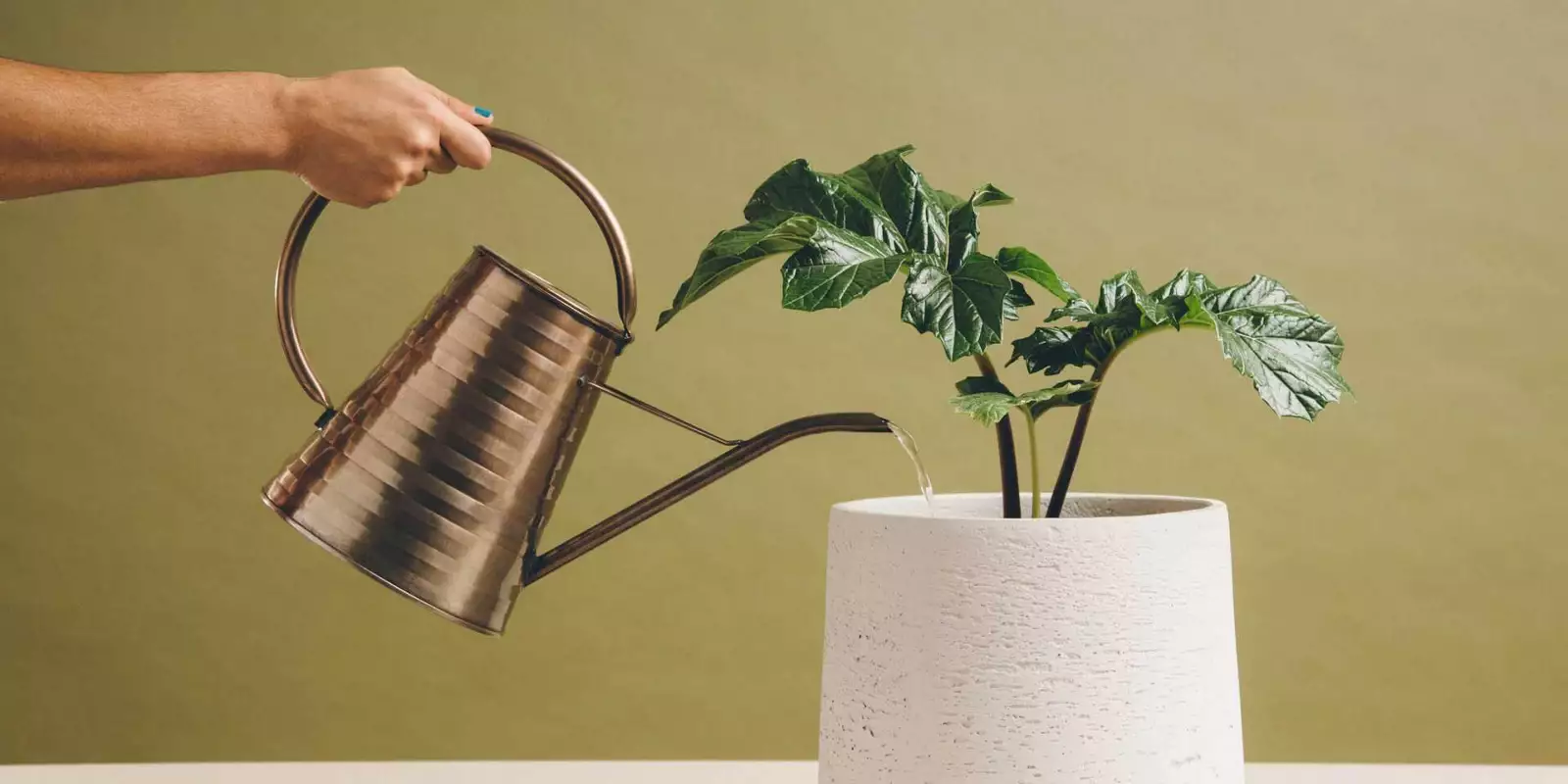 6 claves para crear un enfoque al cliente innovador