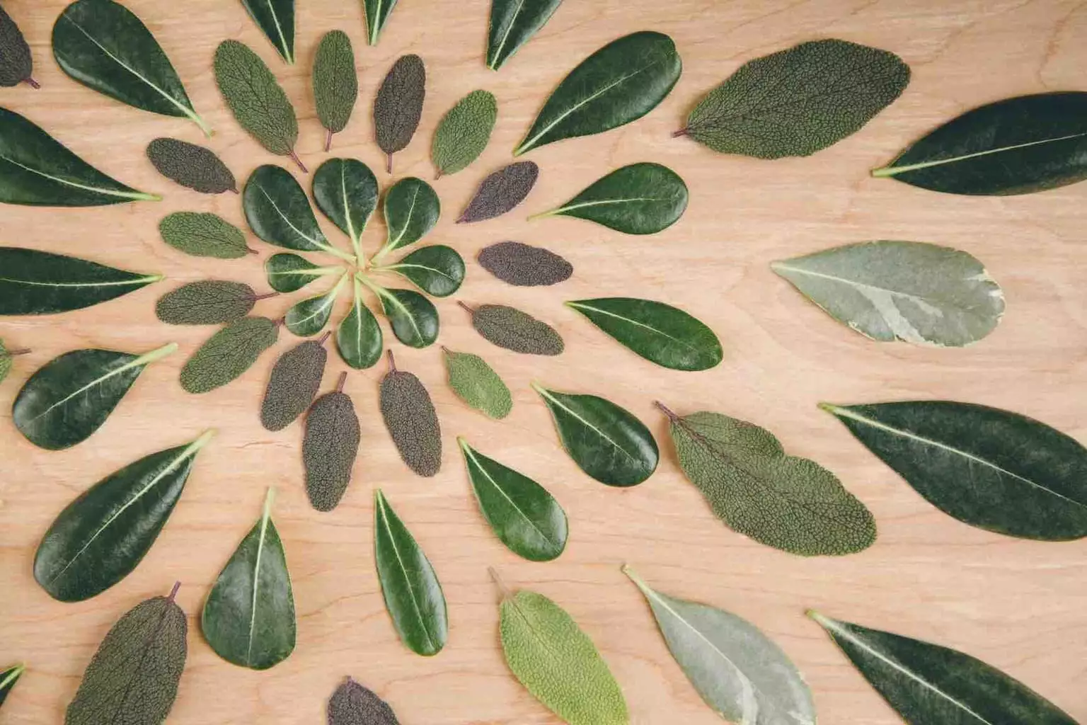 ¿Qué es un asesor de call center? 7 funciones destacadas