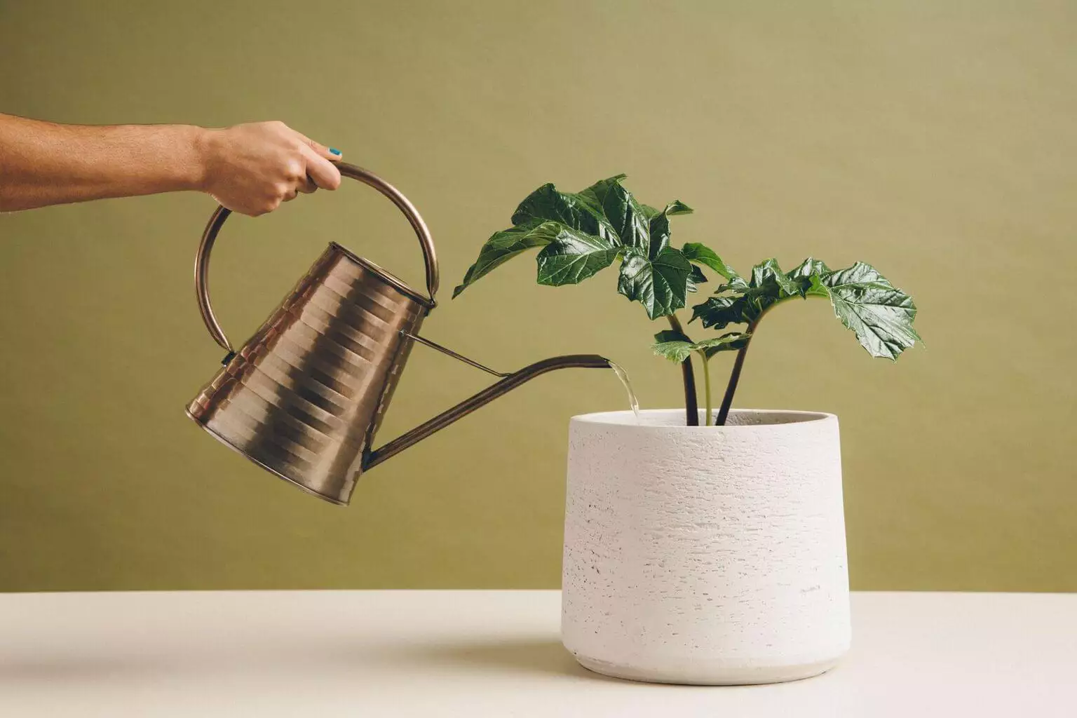 What is a customer base? 9 strategies to build and grow it