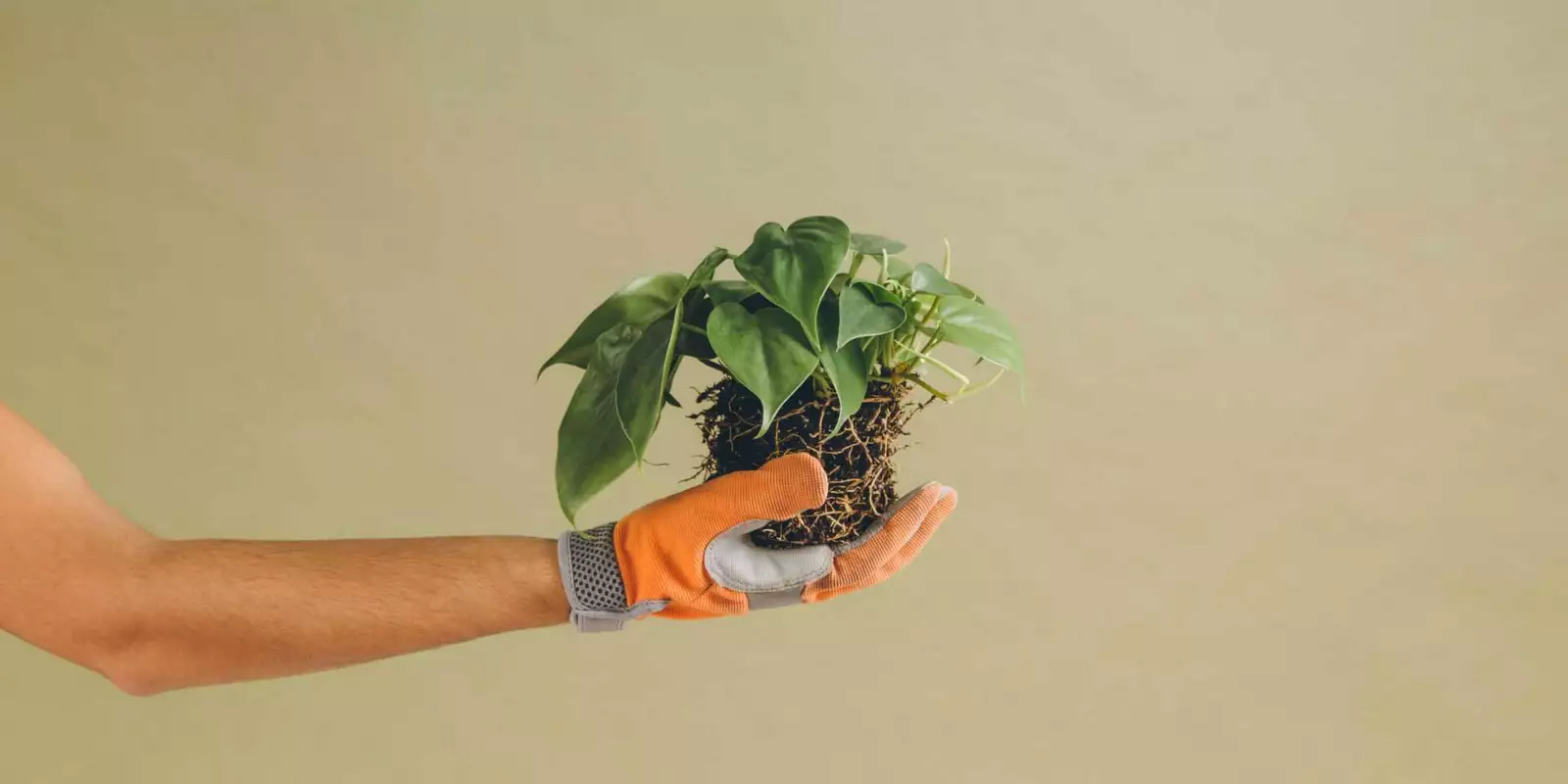 Importancia del cliente: 7 estrategias para reforzarla