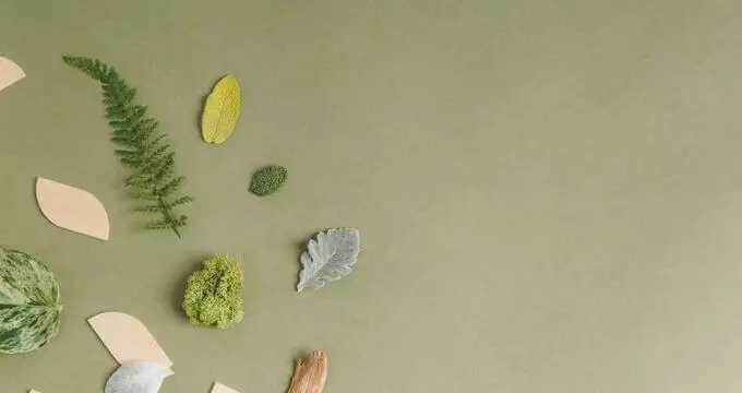 Deleitar a los clientes con experiencias de cliente modernas