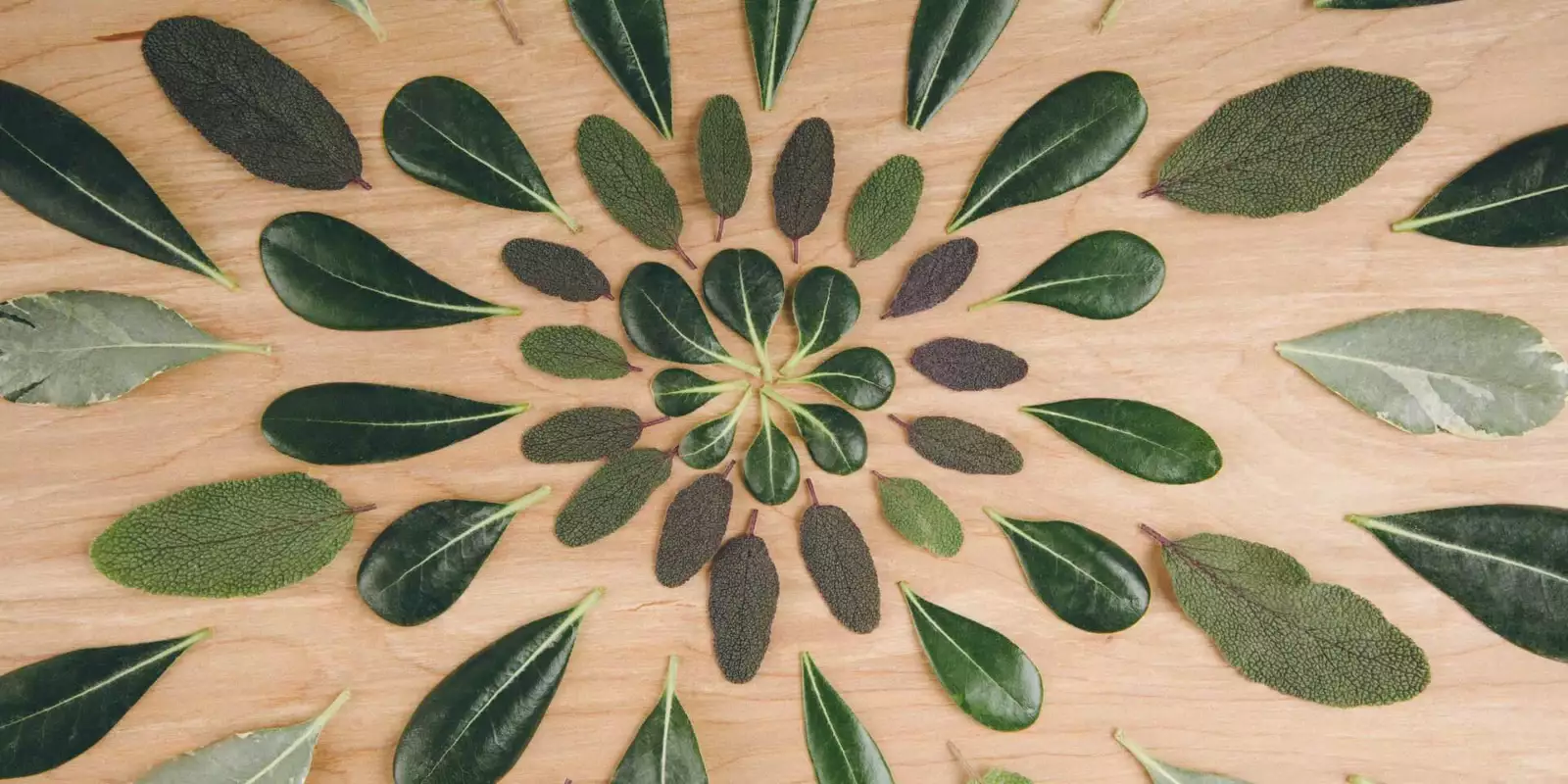 Cumple tus objetivos de servicio al cliente con 4 ejemplos prácticos