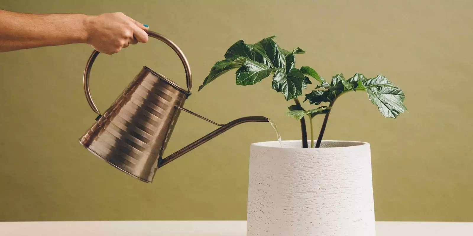 Onboarding del cliente: cómo hacer paso a paso (INFOGRAFÍA)