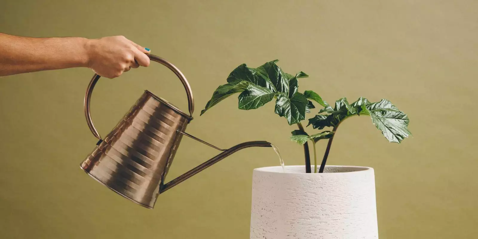 ¿Tu empresa ya realiza postventa? Conoce todos los detalles sobre esta estrategia