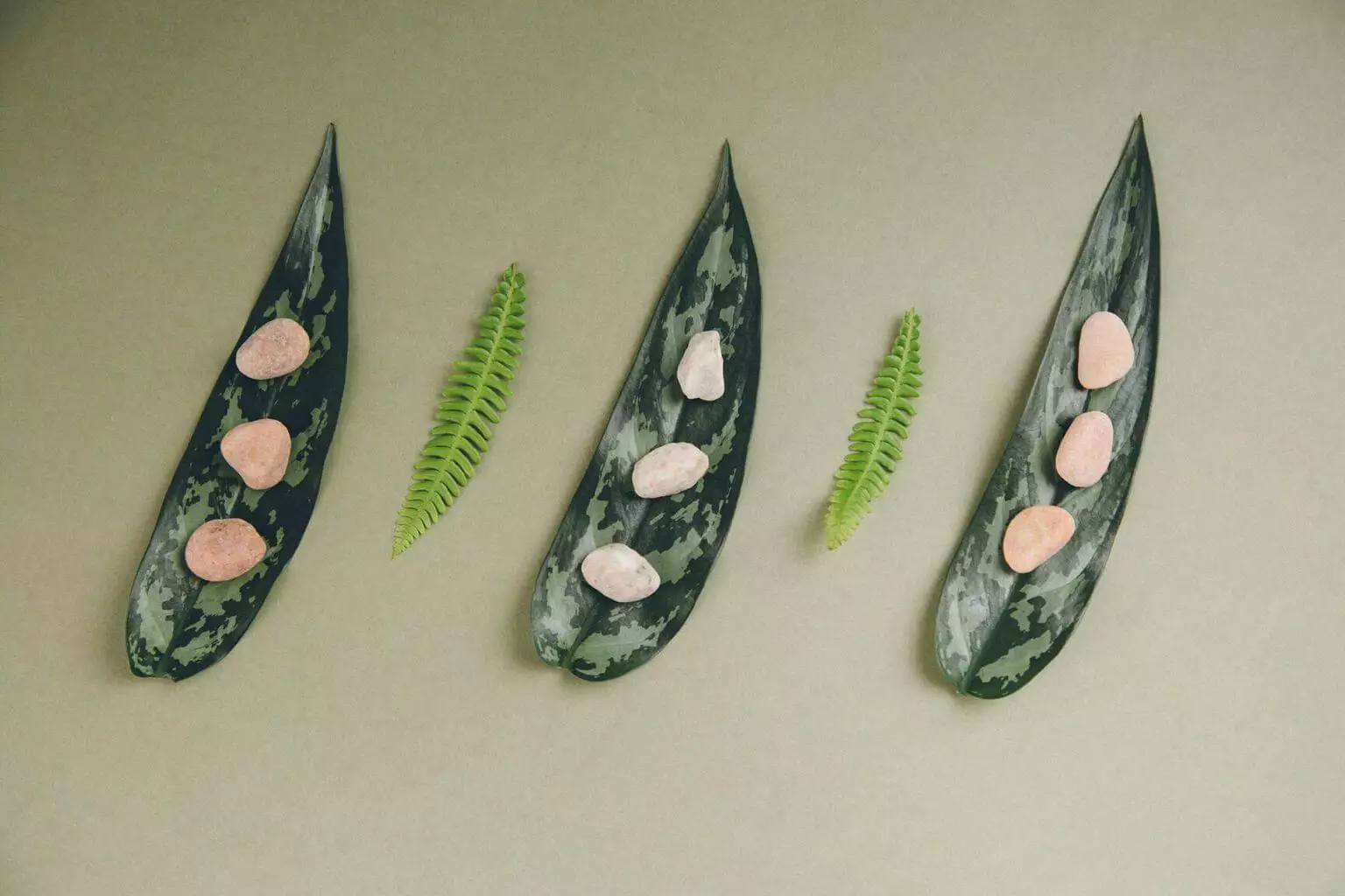 Wissenschaftsbasierte Ziele sind der Schlüssel zu einem nachhaltigen Geschäft