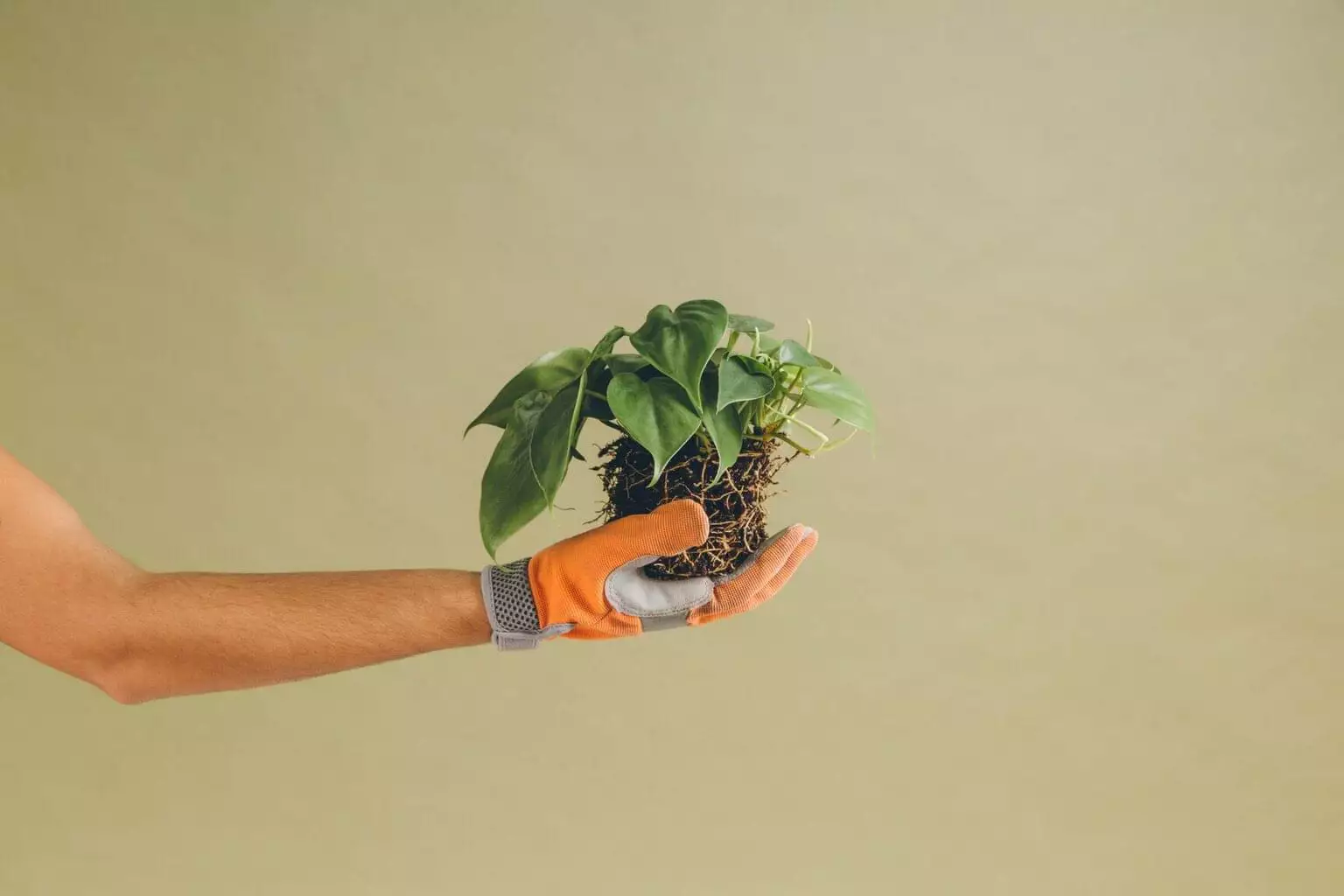 Vendedor exitoso: características y habilidades