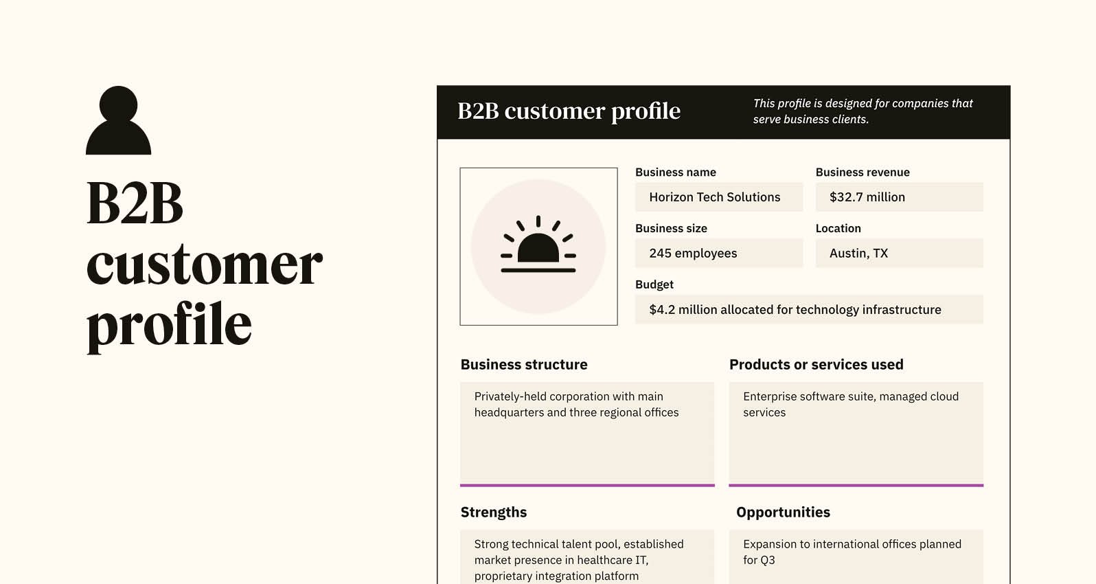 A preview for the downloadable B2B customer profile template.