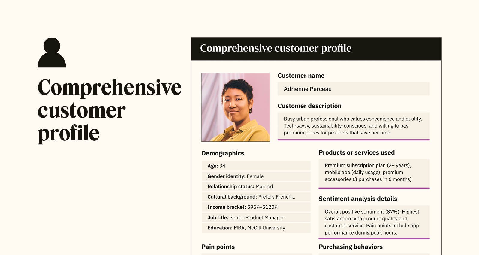A preview for the downloadable comprehensive customer profile template.